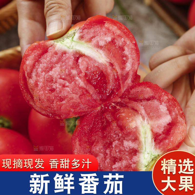 手上拿着的沙瓤西红柿