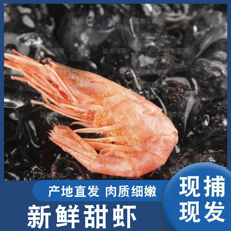 黑底上放着北极甜虾