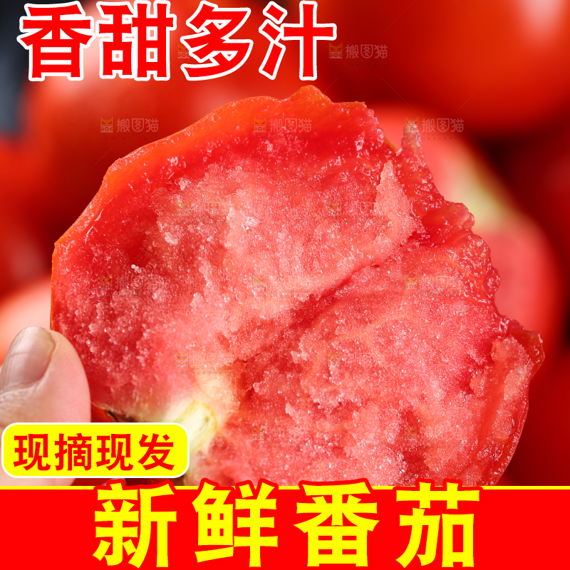 手上拿着沙瓤西红柿