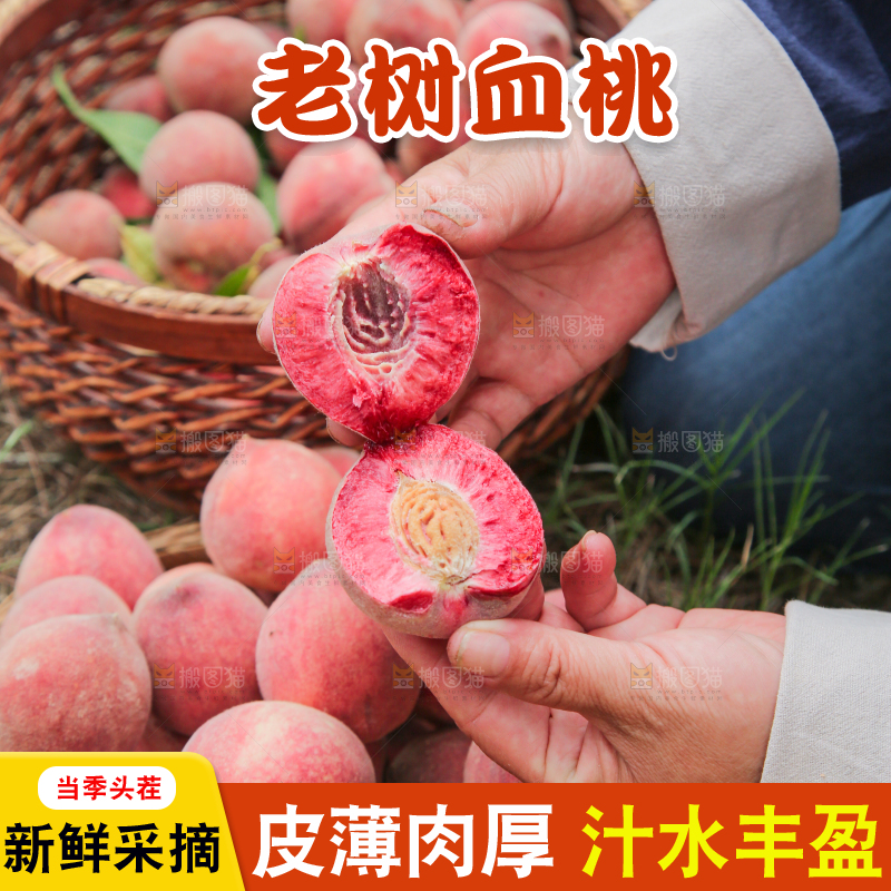 手上拿着胭脂红