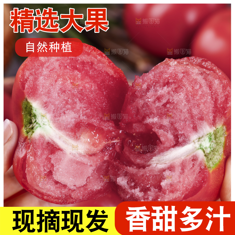 手上拿着的沙瓤西红柿