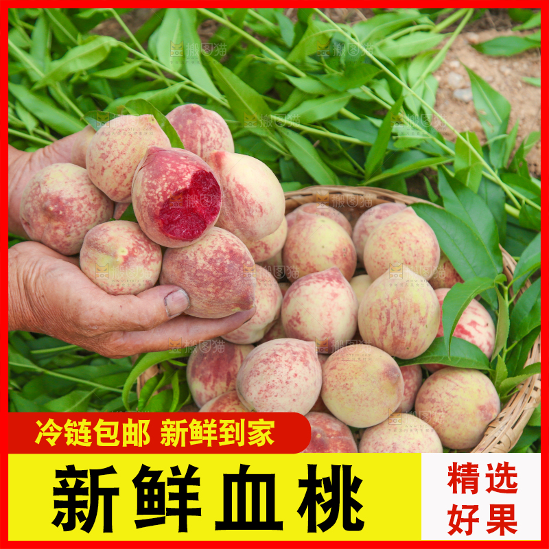 手上捧着胭脂红