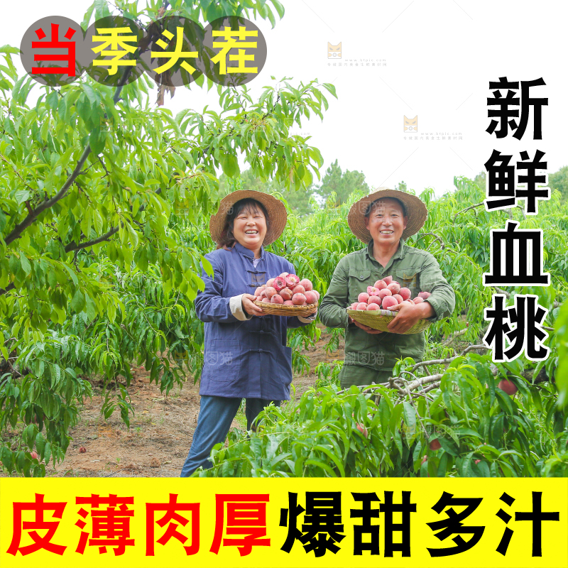 农民手上抱着一篮血桃
