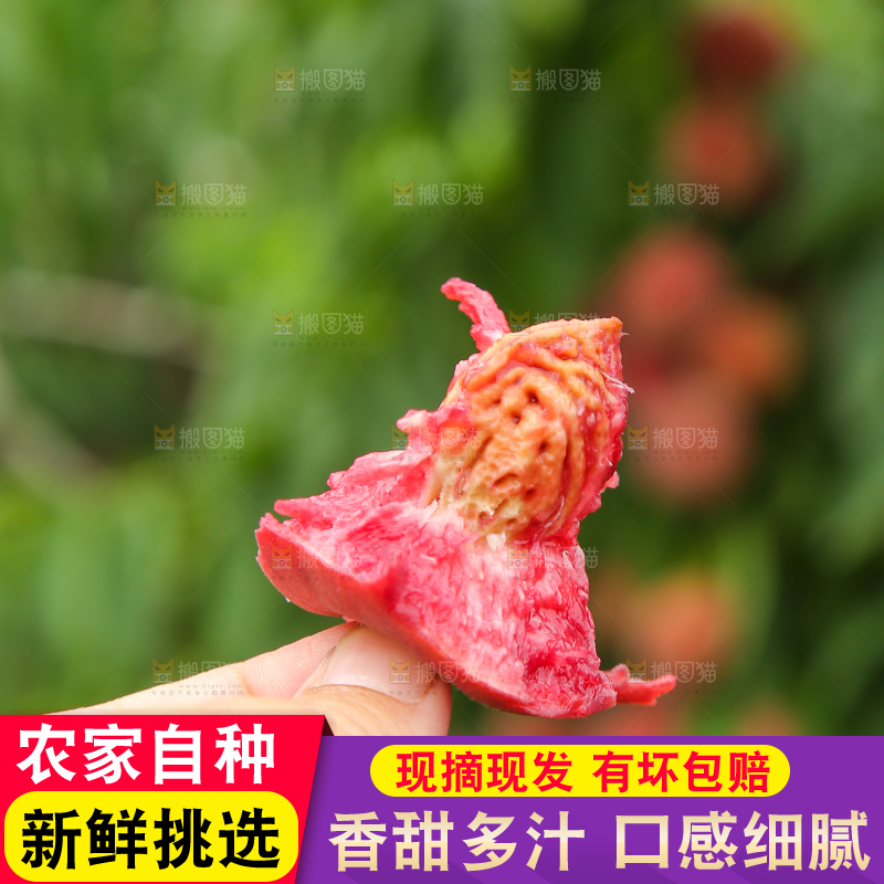 手上拿着的桃子核