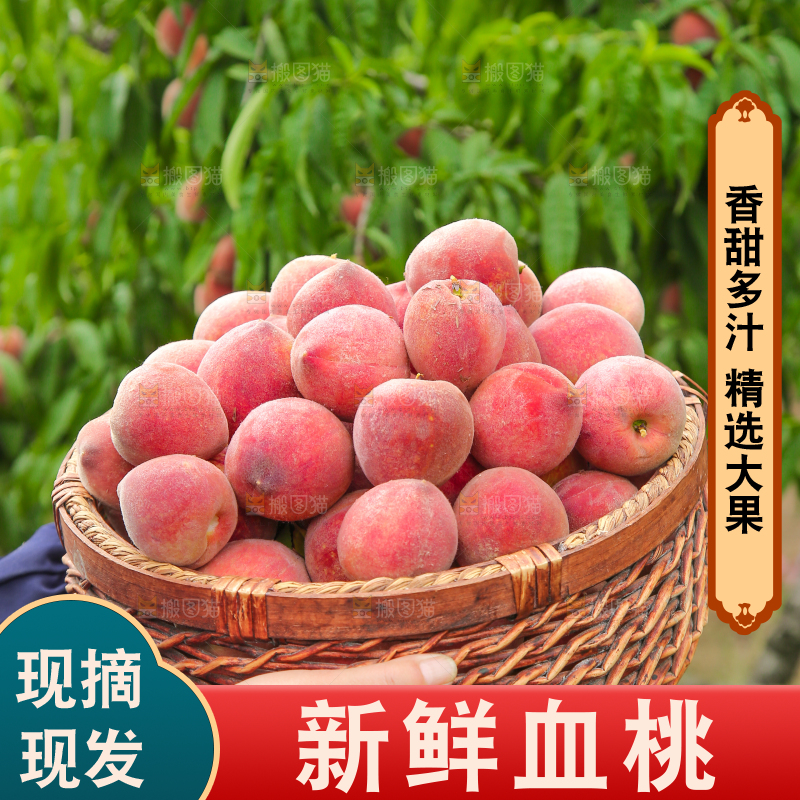 手上抱着一筐胭脂红桃子