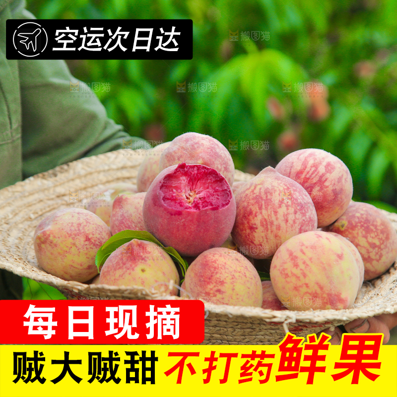 放在帽子里的胭脂红