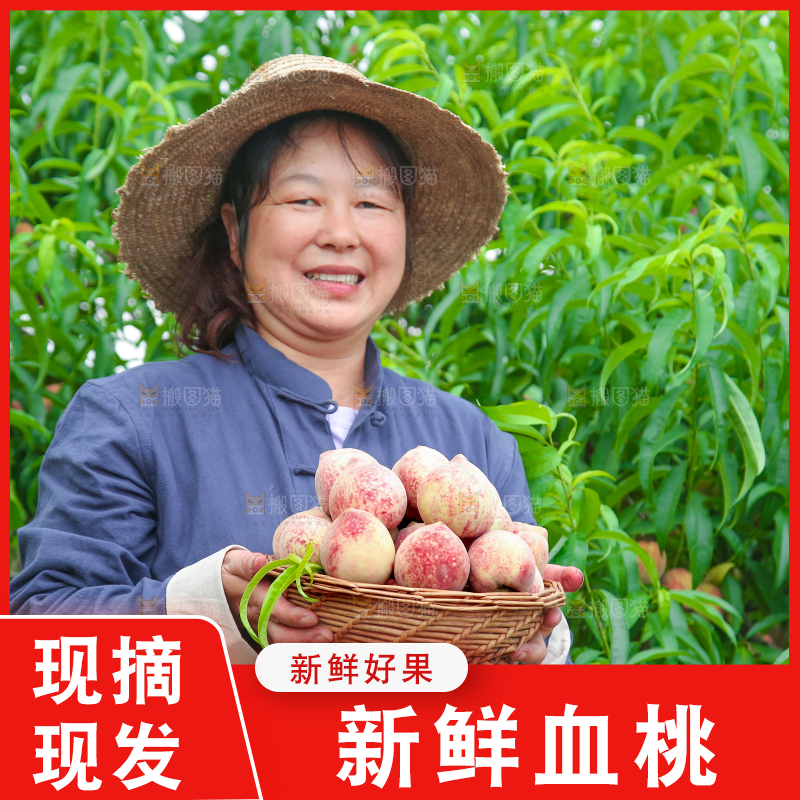 农民手上提着一筐胭脂红
