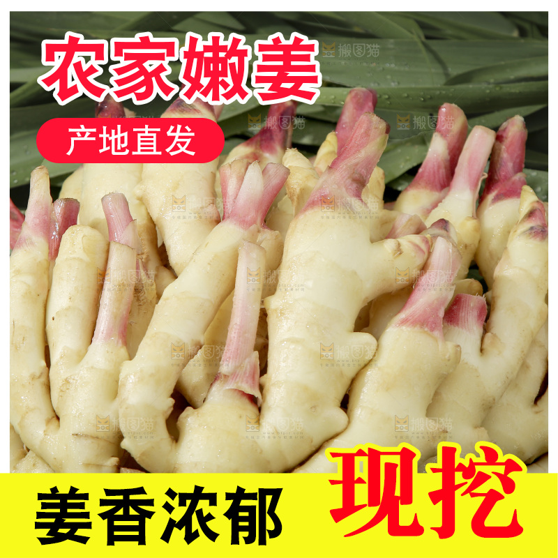 绿草上放着一堆红芽嫩姜