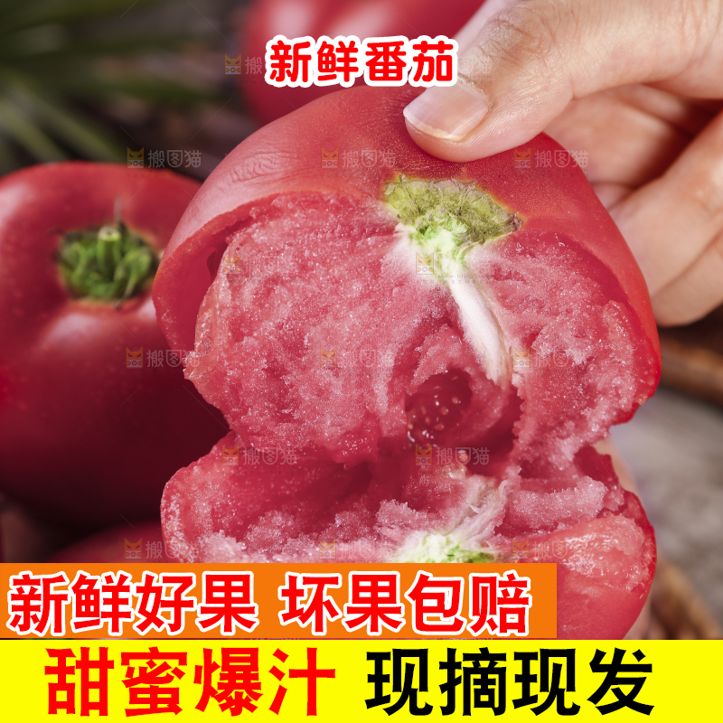 手上拿着的沙瓤西红柿