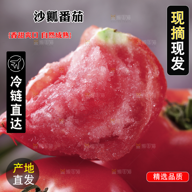 新鲜的沙瓤西红柿