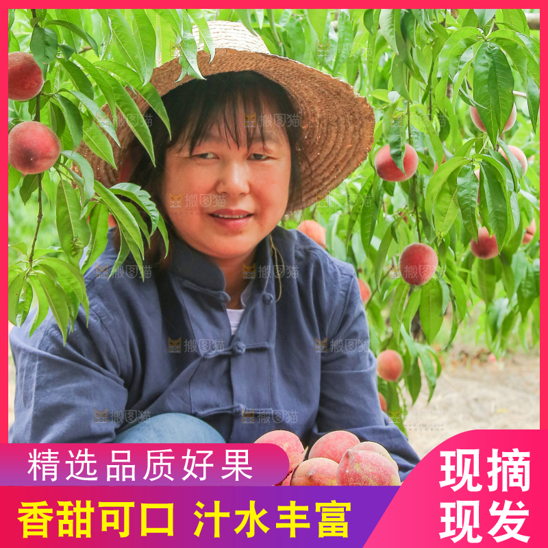 农民手上抱着一篮胭脂红
