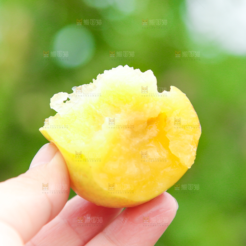 手上拿着李子