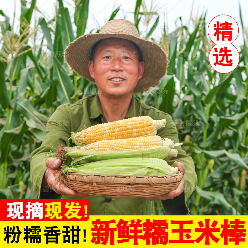 农民手上抱着一篮水果玉米