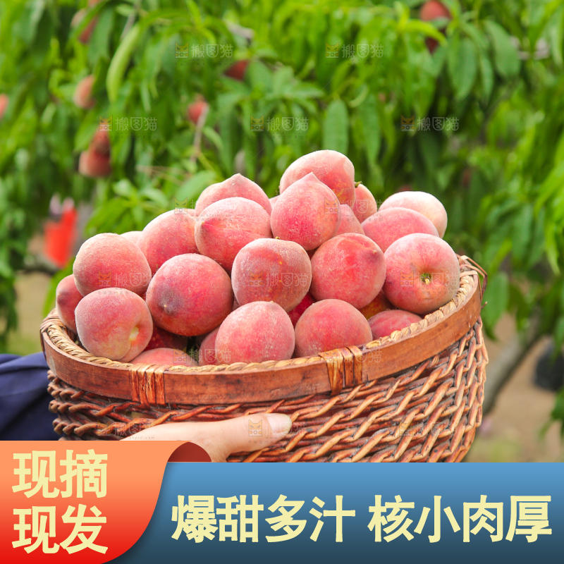 手上抱着一筐胭脂红桃子