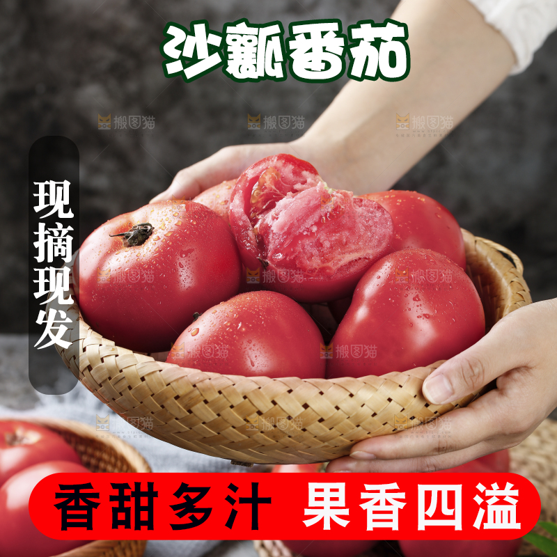 手上端着一篮沙瓤西红柿