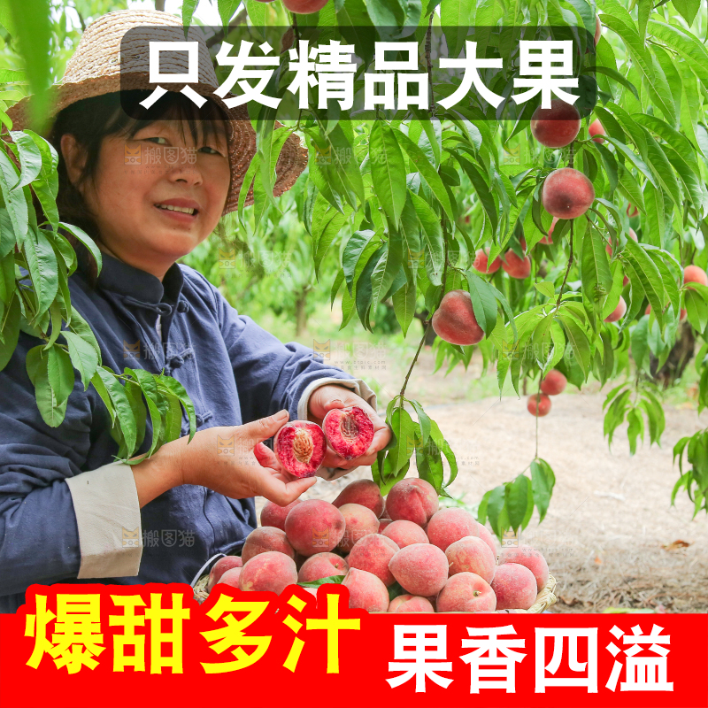 农民手上拿着桃子