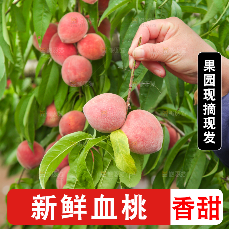 手上拿着胭脂红桃子