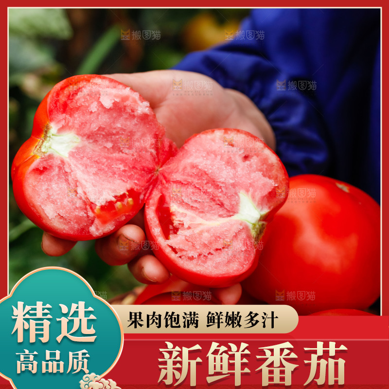 手上拿着沙瓤西红柿