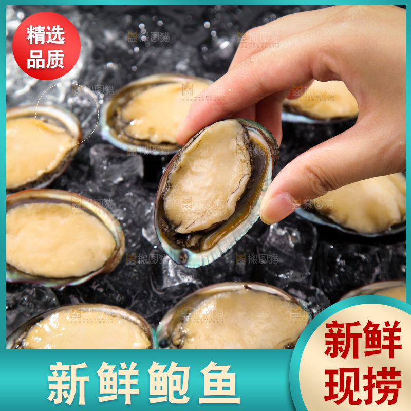 手上拿着鲍鱼