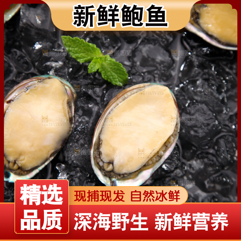 黑底上放着鲍鱼