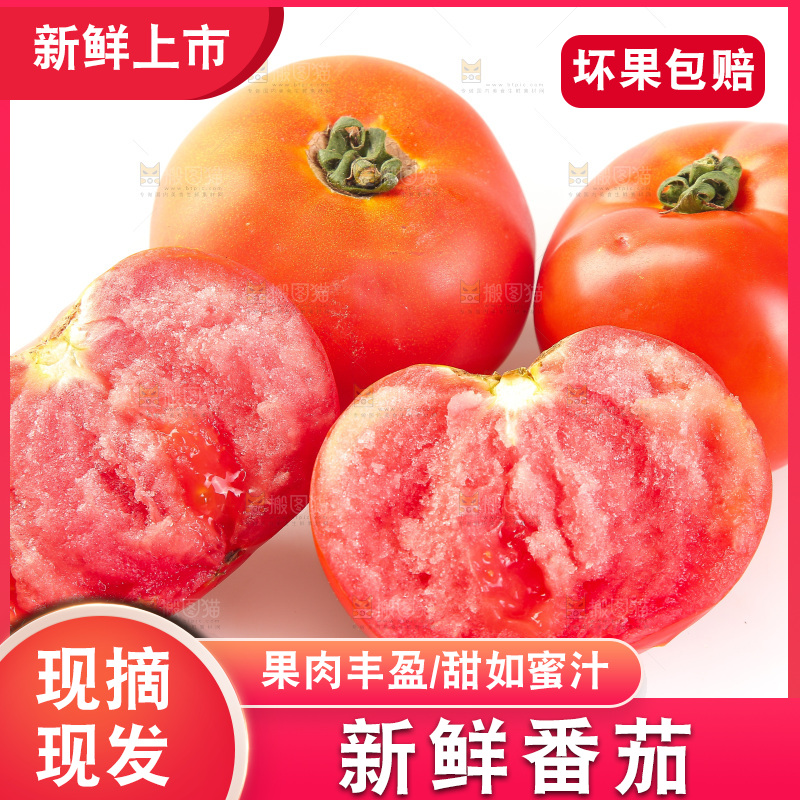 白底上放着西红柿
