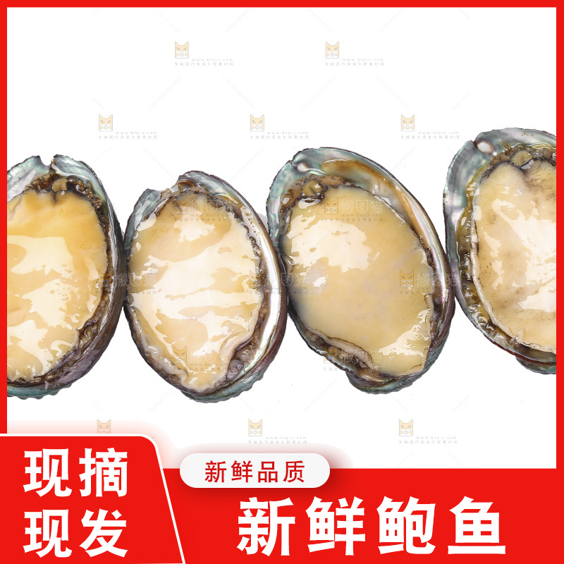 白底上放着一堆鲍鱼