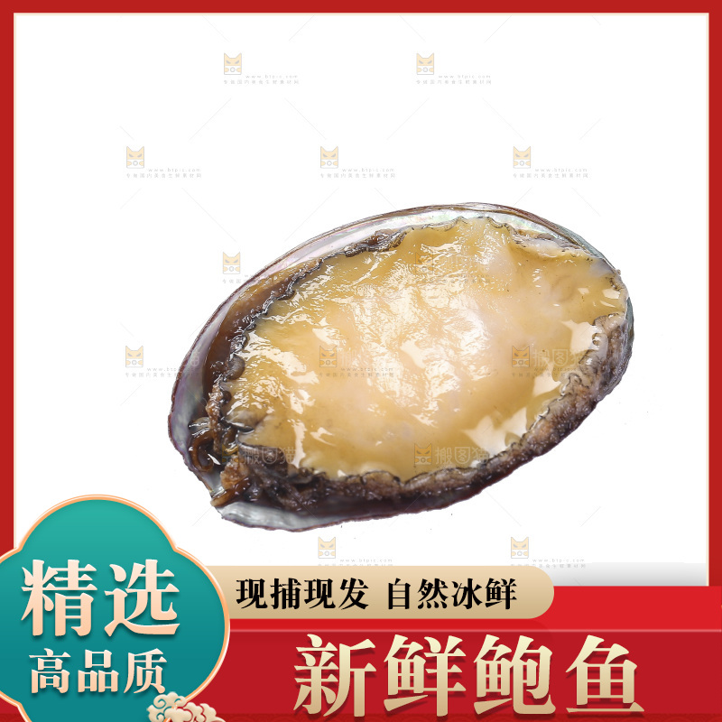 白底上放着鲍鱼