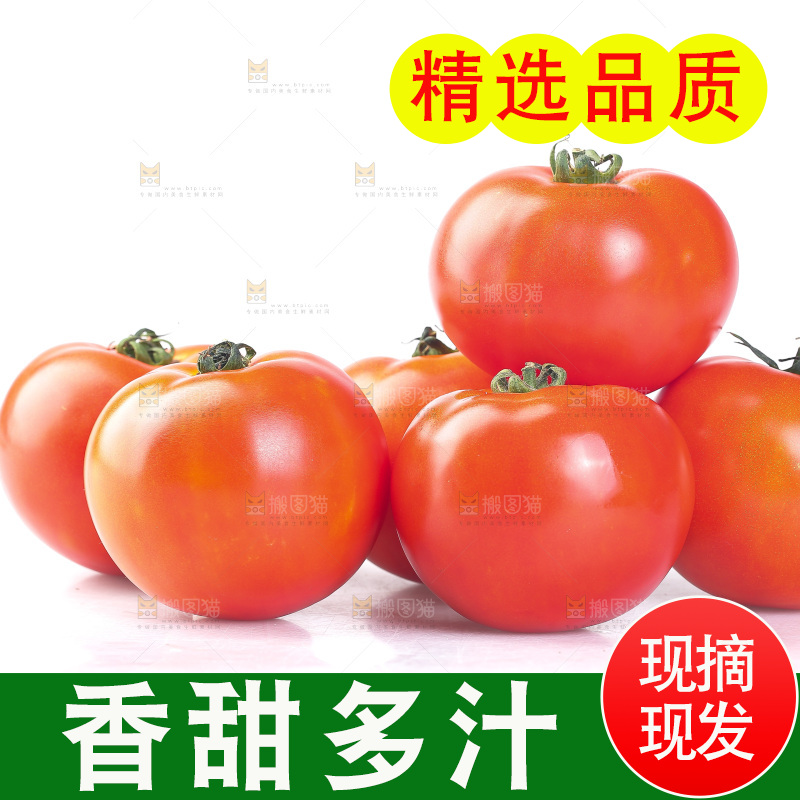 白底上放着一堆番茄