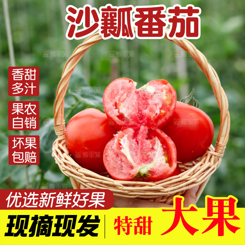女孩手上拿着沙瓤西红柿