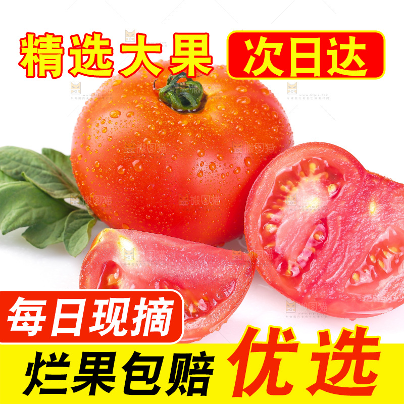 白底上放着番茄