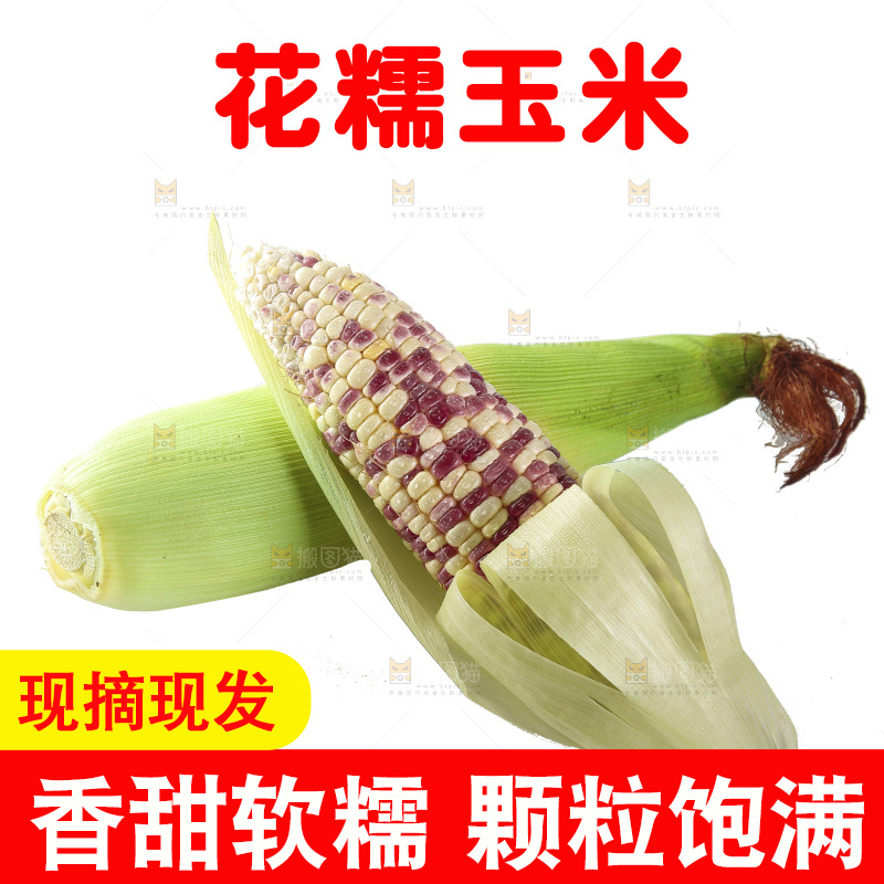 白底上放着花糯玉米