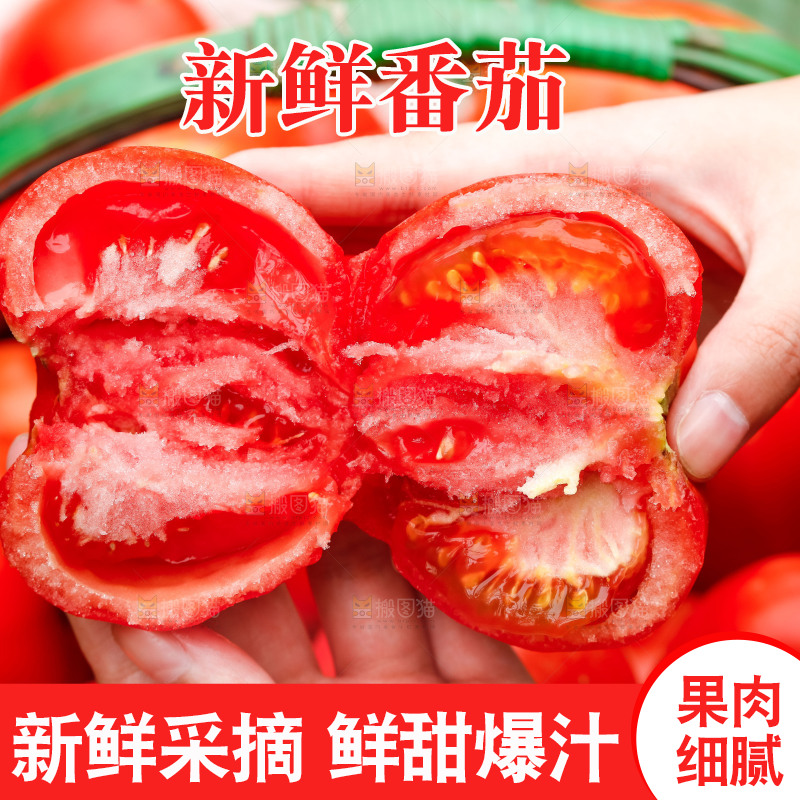 手上拿着掰开的沙瓤番茄