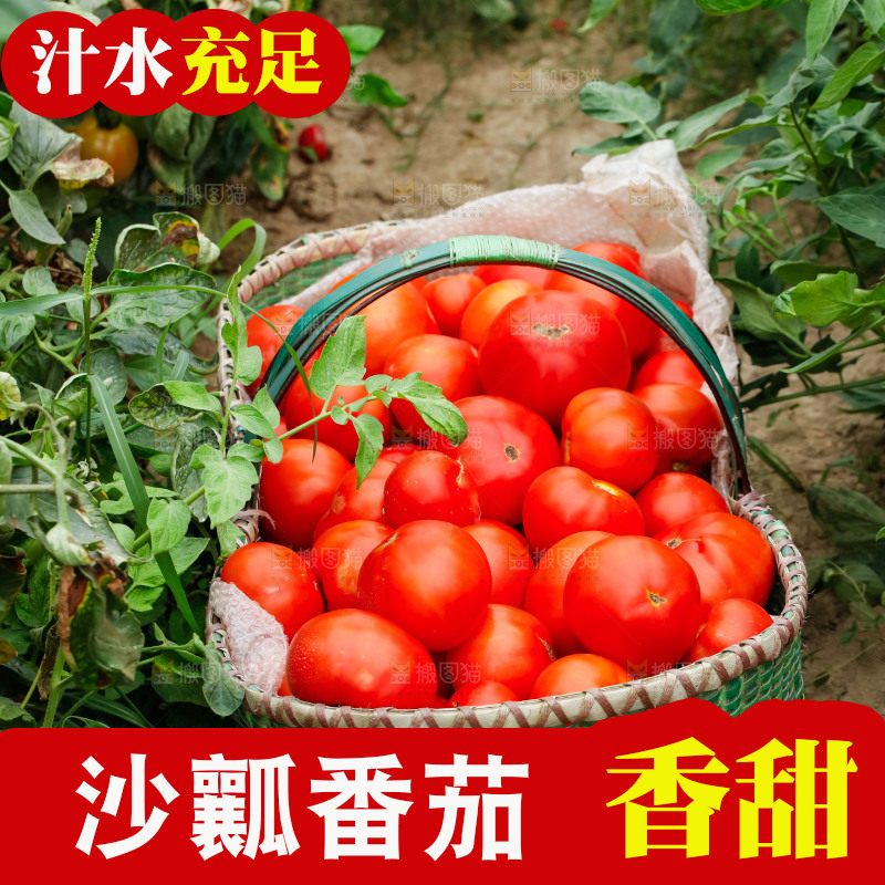 土地上放着一篮西红柿