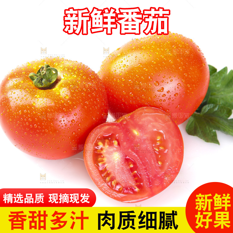 白底上放着西红柿