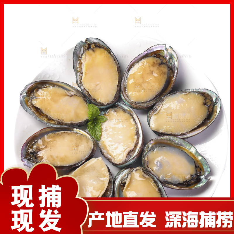 白底上放着一堆鲍鱼