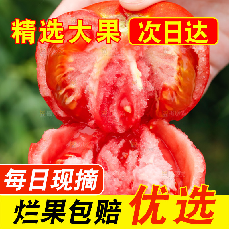 手上拿着掰开的沙瓤番茄