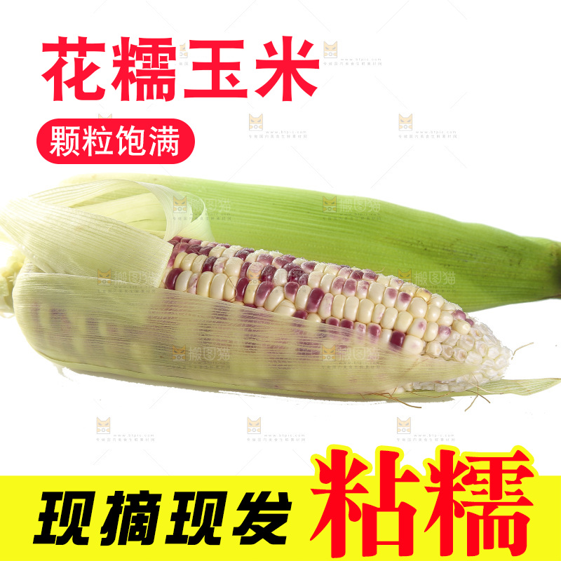 白底上放着花糯玉米