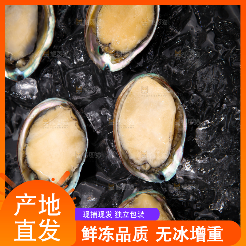 黑底上放着鲍鱼