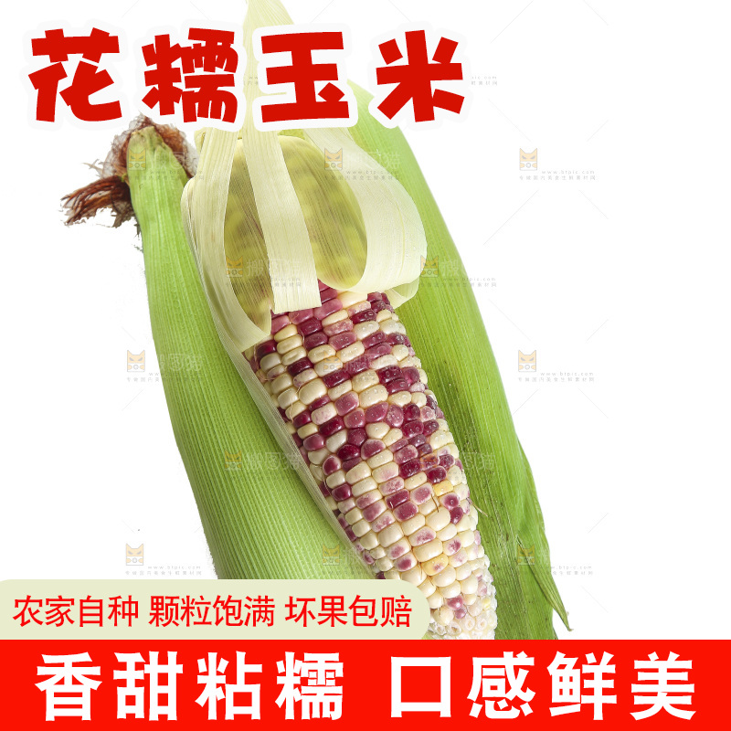白底上放着花糯玉米