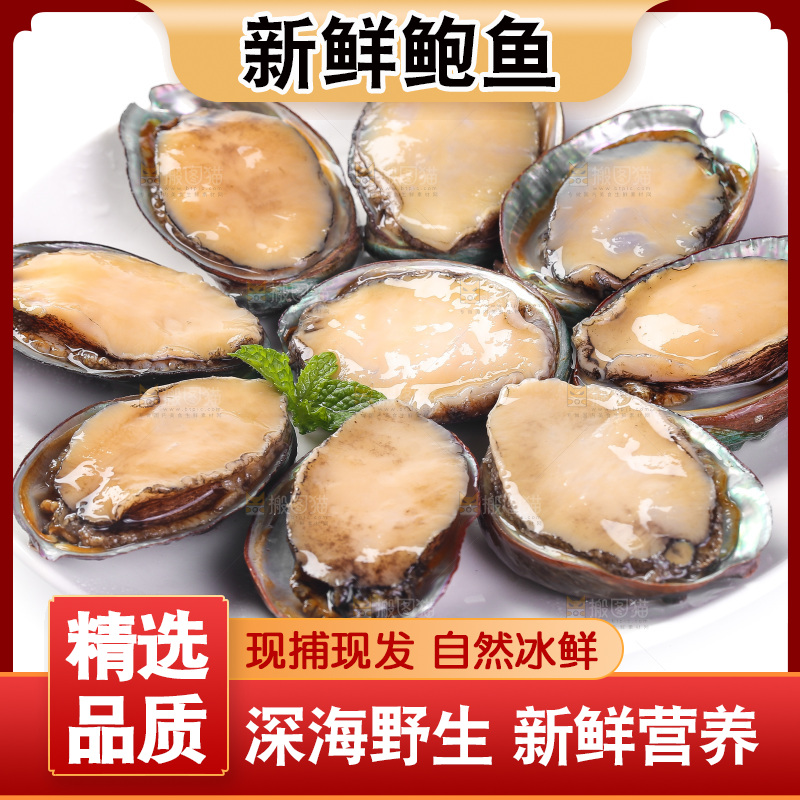 白底上放着一盘鲍鱼