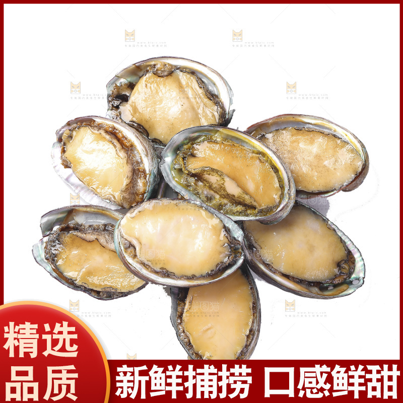 白底上放着一堆鲍鱼