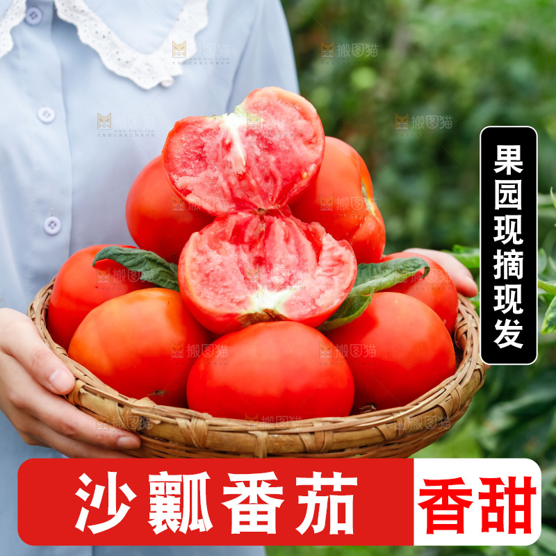 手上端着一篮沙瓤西红柿