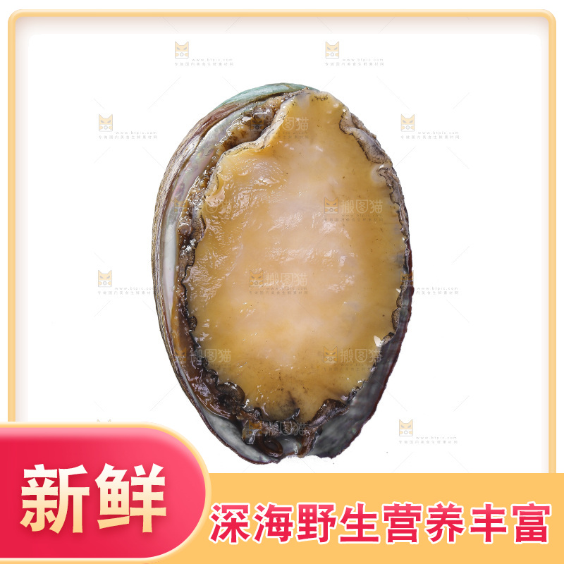 白底上放着鲍鱼