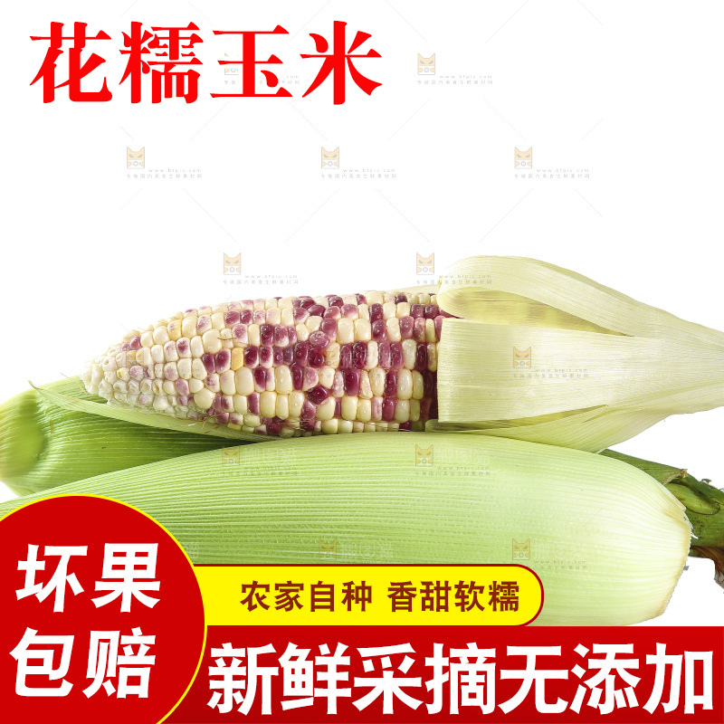 白底上放着花糯玉米