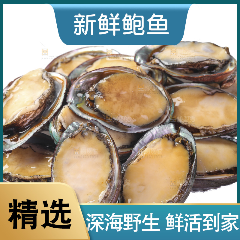 白底上放着一堆鲍鱼