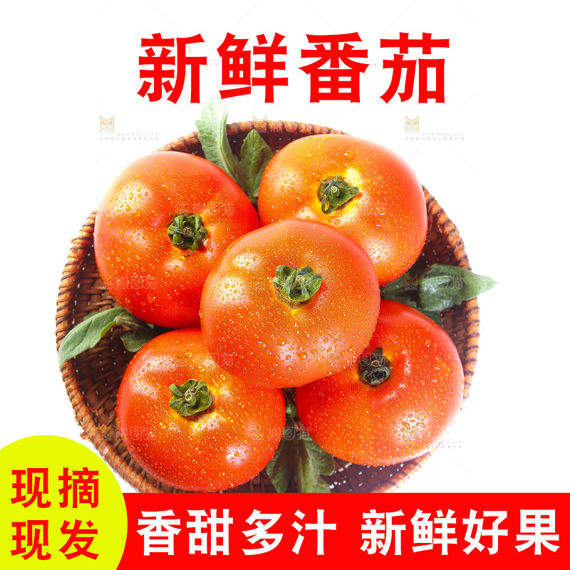 白底上放着一篮西红柿