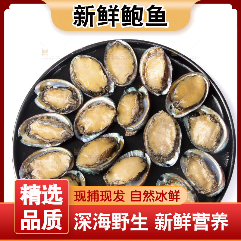 白底上放着一盘鲍鱼