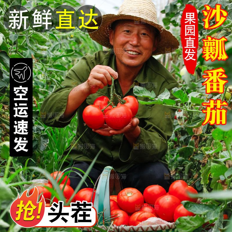 农民手上拿着西红柿