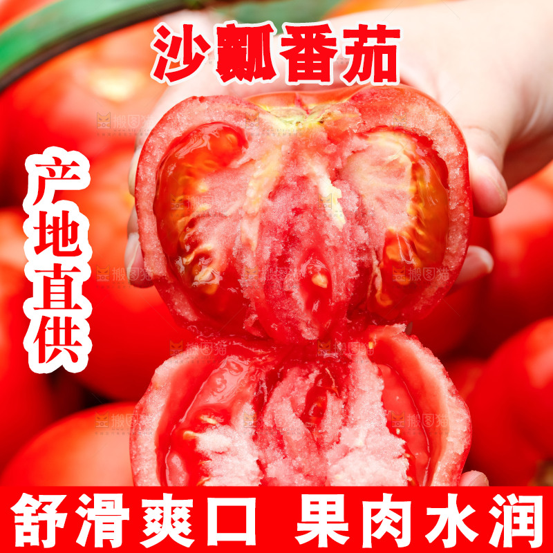 手上拿着掰开的沙瓤番茄