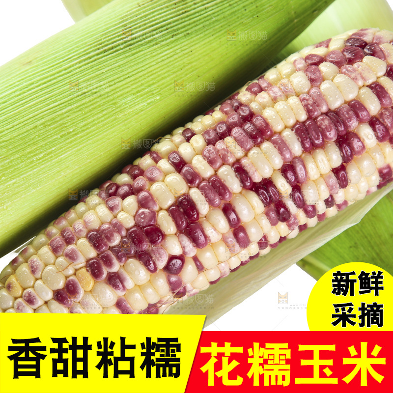 白底上放着一堆花糯玉米